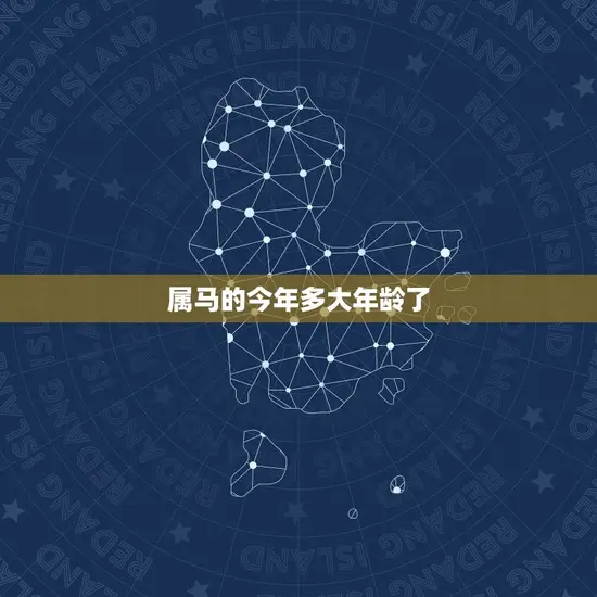 属马的今年多大年龄了