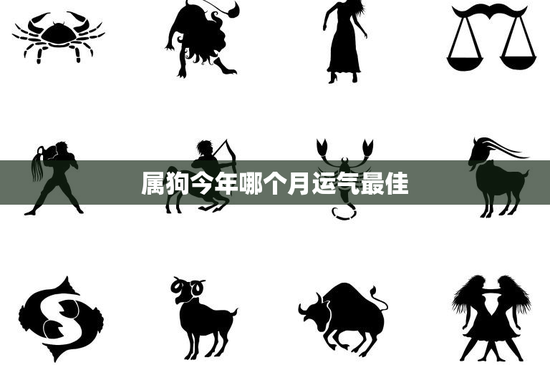 属狗今年哪个月运气最佳：属狗人2023年最幸运的月份，你猜是哪个？