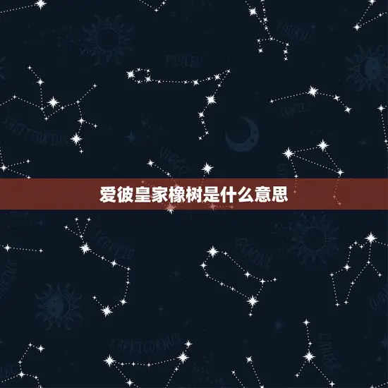 爱彼皇家橡树是什么意思