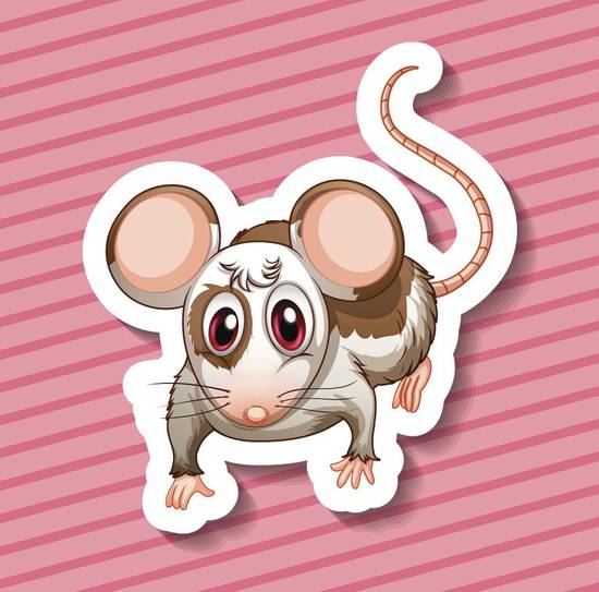 84年属鼠的最佳配偶蛇(缘定一生相互扶持) 84年属鼠的最佳配偶蛇(缘定一生相互扶持)