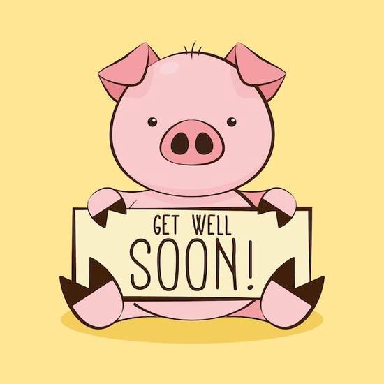 属猪的人都是几几年生的(解密猪年生肖探究猪年人的性格特点)