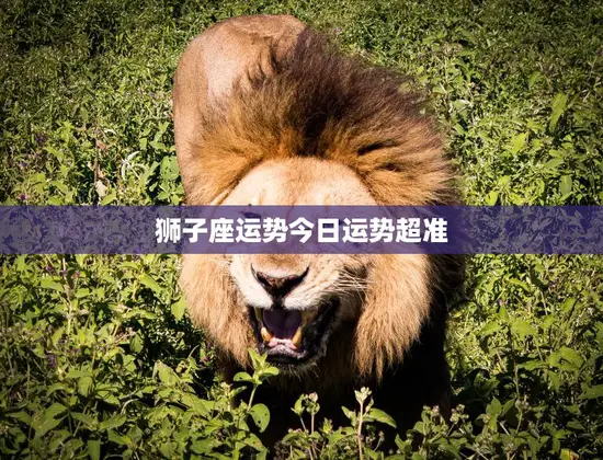 狮子座运势今日运势超准(星象指引财运亨通)
