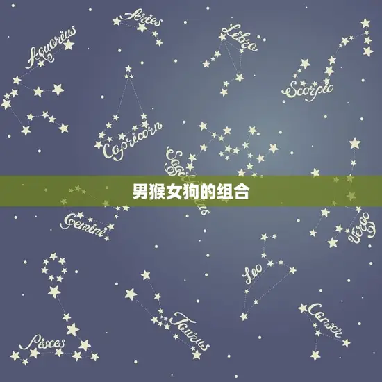 男猴女狗的组合