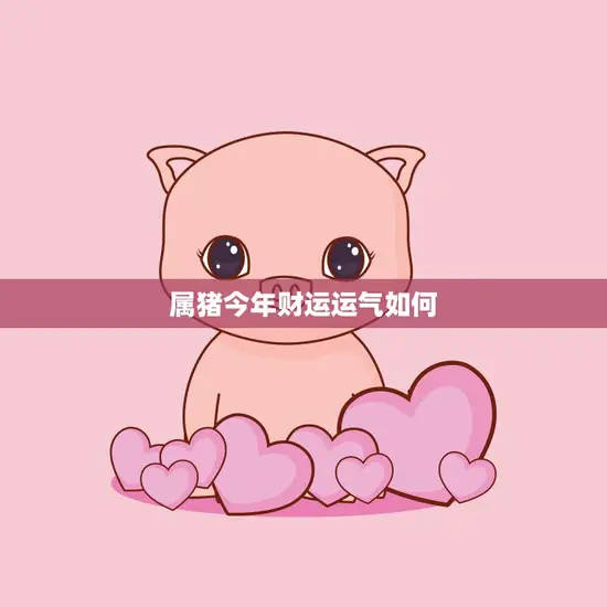 属猪今年财运运气如何(猪年大吉财运亨通)