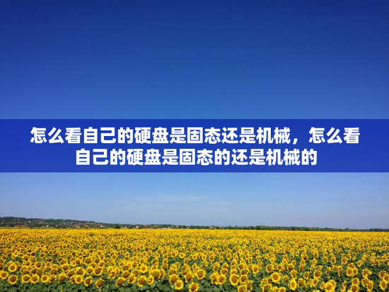 怎么看自己的硬盘是固态还是机械，怎么看自己的硬盘是固态的还是机械的