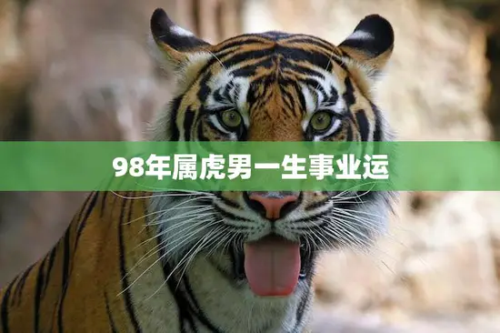 98年属虎男一生事业运(如何开创自己的职业生涯)