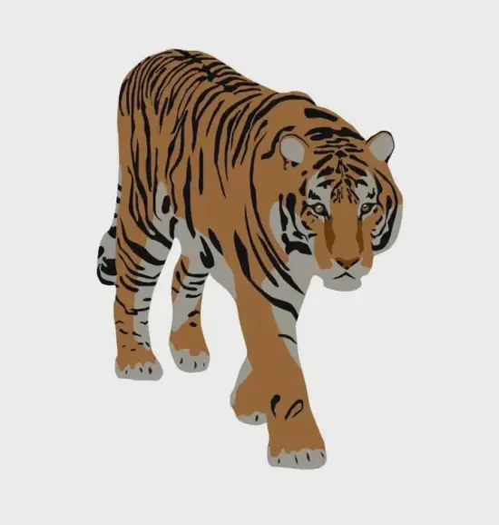 生肖婚配三合解析图