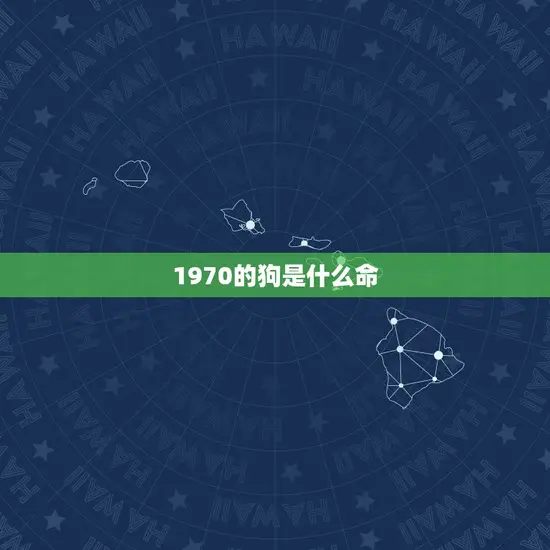 1970的狗是什么命