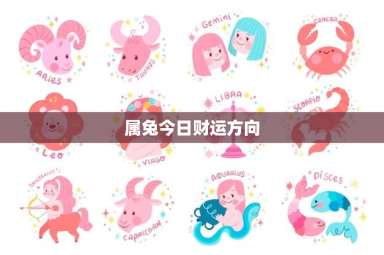 属兔今日财运方向：职场晋升加薪秘籍大揭秘