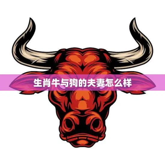 生肖牛与狗的夫妻怎么样(幸福美满的秘诀)