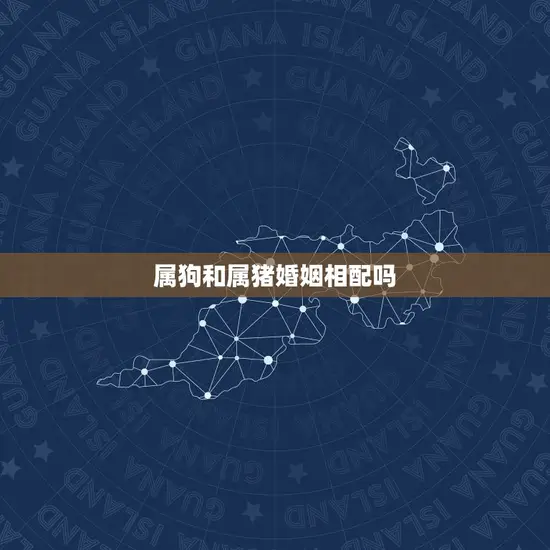 属狗和属猪婚姻相配吗