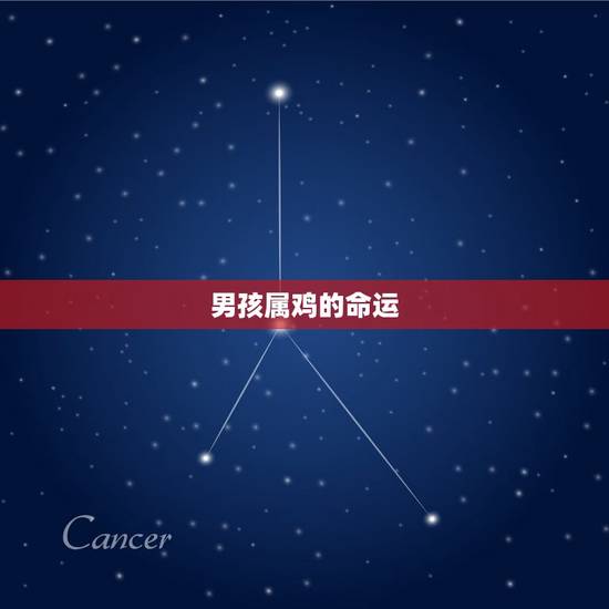 男孩属鸡的命运