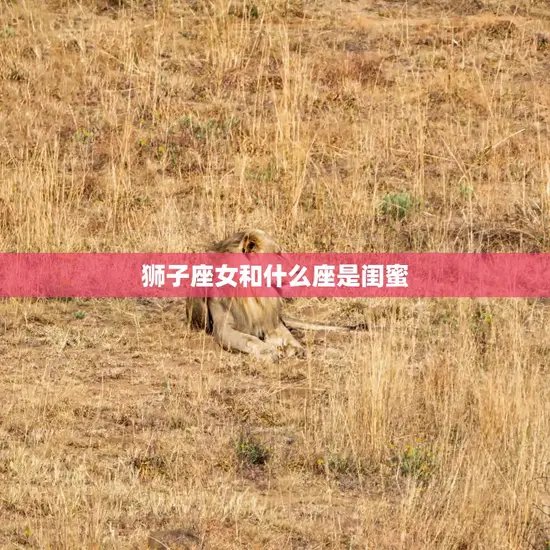 狮子座女和什么座是闺蜜(最佳星座组合大揭秘) 狮子座女和什么座是闺蜜(最佳星座组合大揭秘)