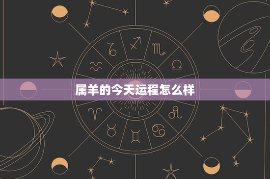 属羊的今天运程怎么样：属羊人士运程大揭秘，事业财富情感全解析