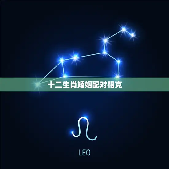 十二生肖婚姻配对相克