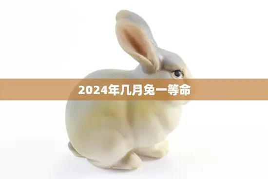 2024年几月兔一等命(兔年大吉好运连连)