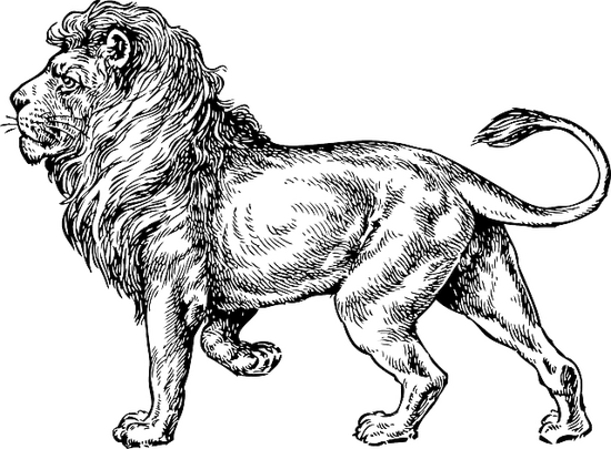 狮子座今年运势2023(财运亨通事业顺利爱情甜蜜)