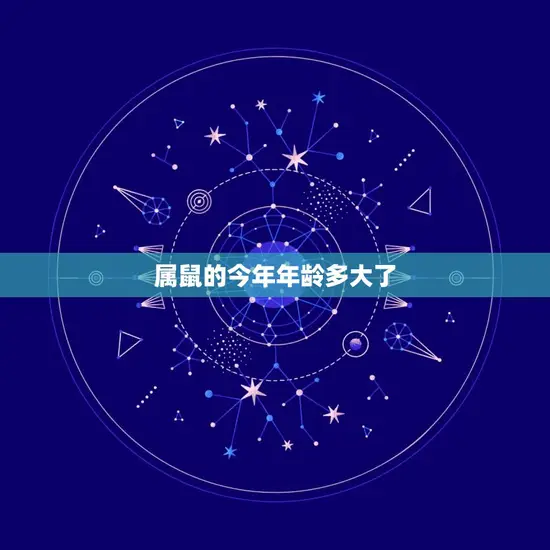 属鼠的今年年龄多大了