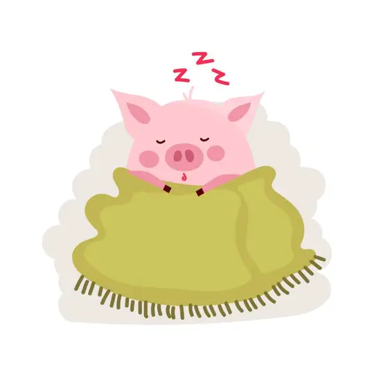 猪年是按照农历还是阳历(猪年到底是哪个历法)