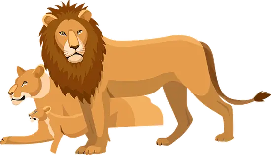 狮子座运势今日运势超准(星象指引财运亨通)