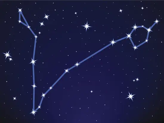 属羊今日运势每日更新：爱情波动求稳定，事业挑战勇往直前