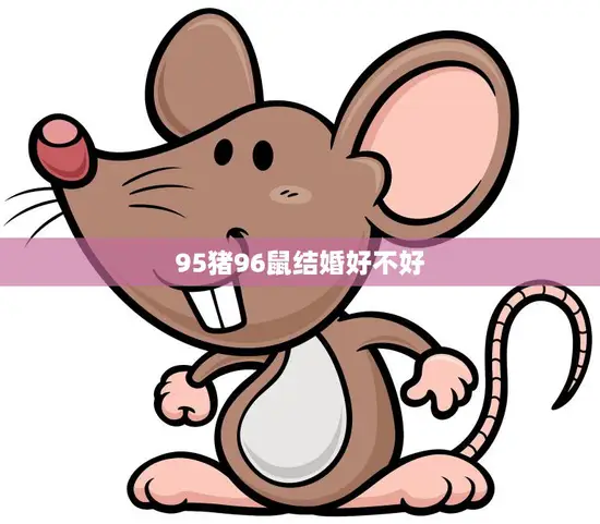 95猪96鼠结婚好不好(星座配对是否能决定婚姻幸福)