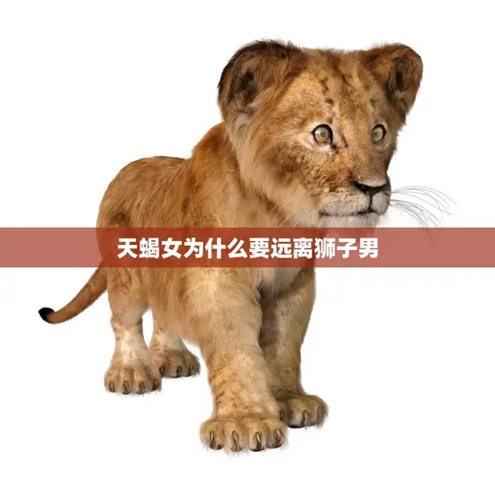 天蝎女为什么要远离狮子男(星座配对的致命缺陷) 天蝎女为什么要远离狮子男(星座配对的致命缺陷)