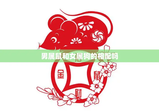 男属鼠和女属狗的相配吗(星座配对分析)
