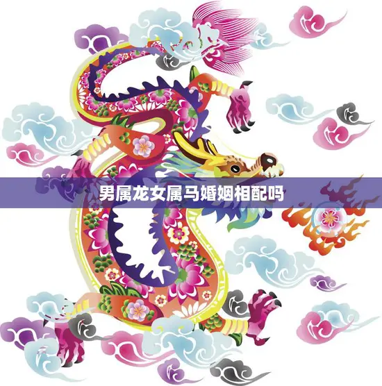 男属龙女属马婚姻相配吗(解析龙马精神的组合)