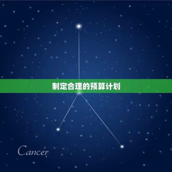 制定合理的预算计划