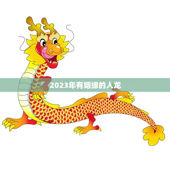 2023年有姻缘的人龙(幸福婚姻等你来这些星座最有机会)