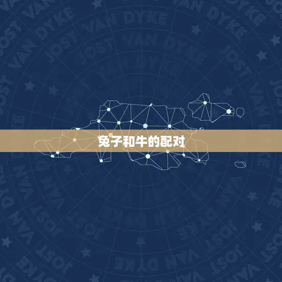 兔子和牛的配对