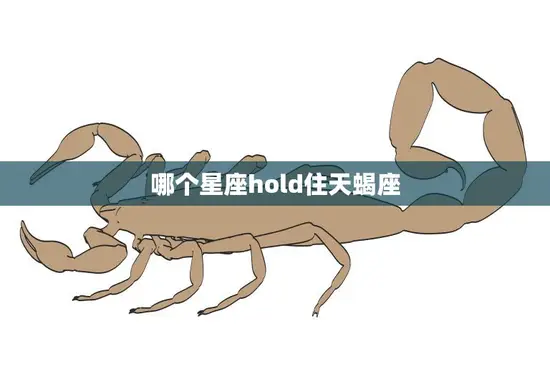 哪个星座hold住天蝎座(星座配对大揭秘)