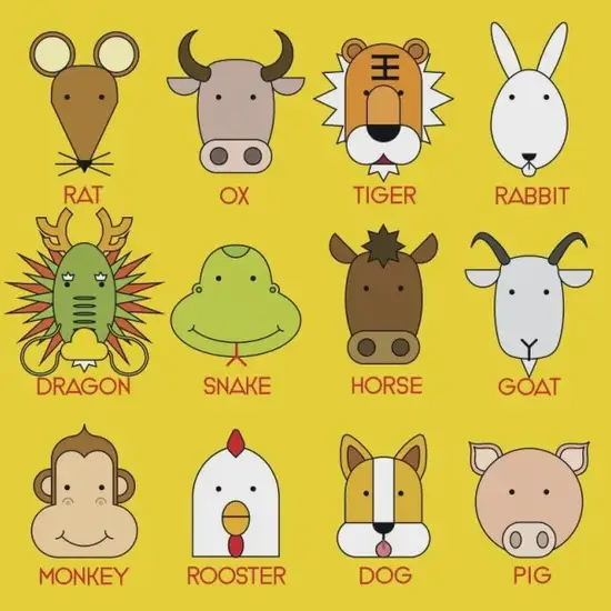 生肖五行相生相克关系图