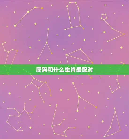 属狗和什么生肖最配对