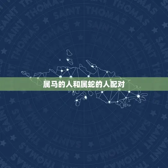 属马的人和属蛇的人配对