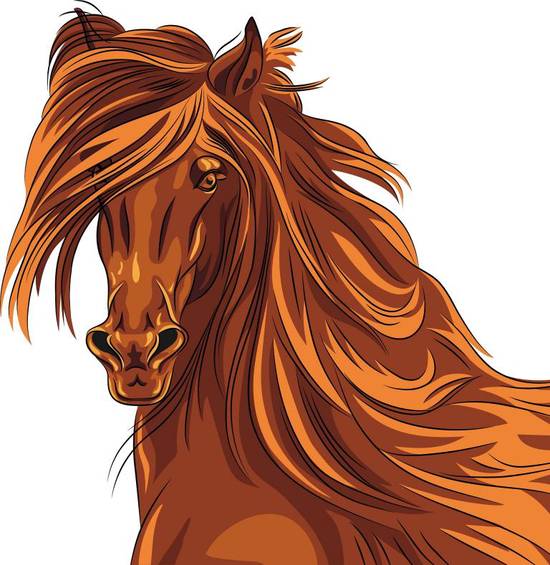 1978年属马白羊座男(性格特点与职业发展)