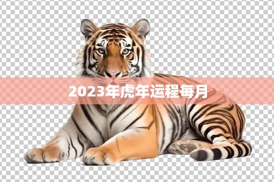 2023年虎年运程每月(详解财运、感情、事业全面解析)