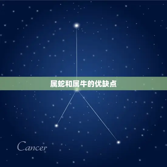 属蛇和属牛的优缺点