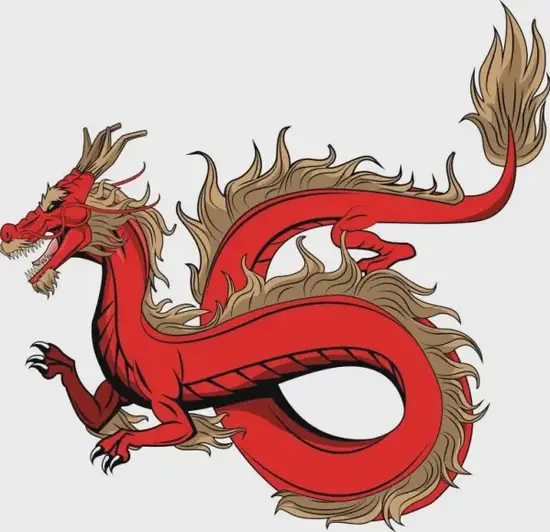 生肖龙健康调理示意图