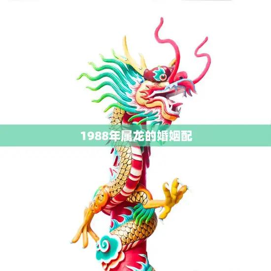 1988年属龙的婚姻配(如何选择最佳伴侣)