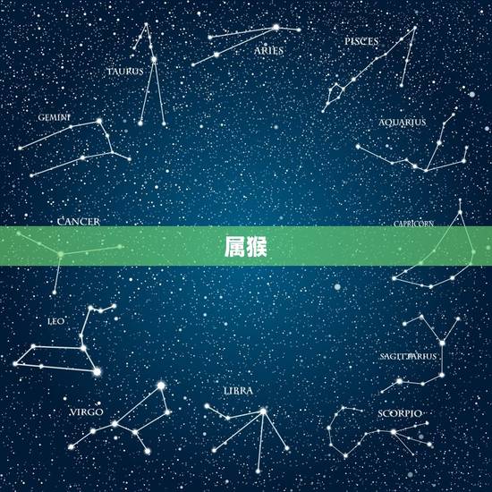 属猴