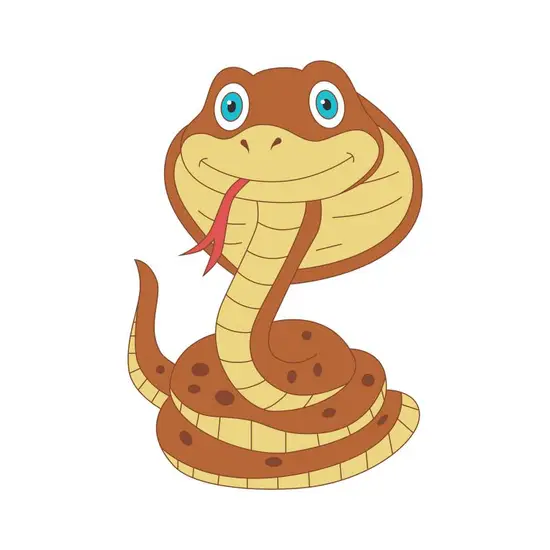 属蛇的人和什么属相相合(最佳配对大揭秘)