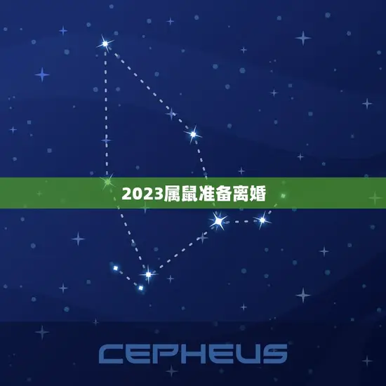 2023属鼠准备离婚