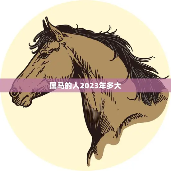 属马的人2023年多大(马上迎来幸运之年)