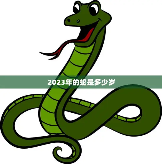 2023年的蛇是多少岁(揭秘中国十二生肖的年龄计算方法)