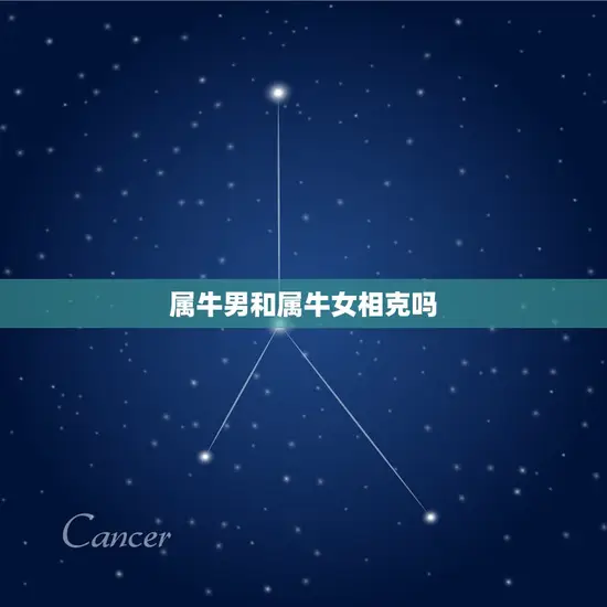 属牛男和属牛女相克吗