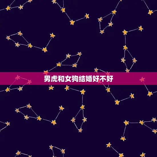 男虎和女狗结婚好不好