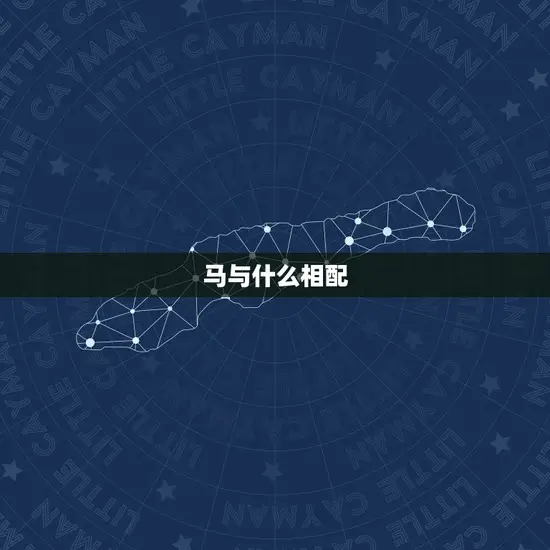 马与什么相配