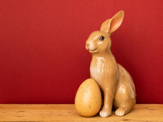 属兔属鸡的合不合婚姻呢(两个属相的相遇与缘分)